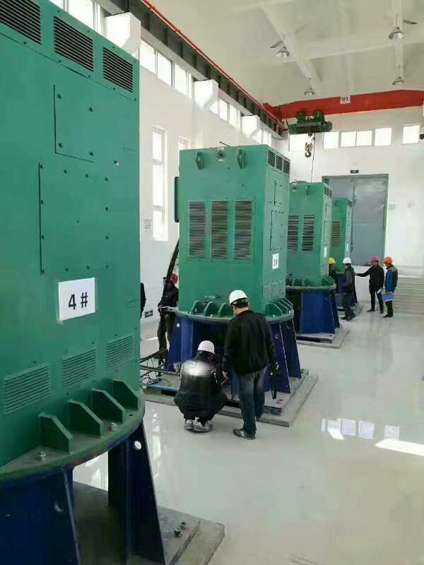 广南某污水处理厂使用我厂的立式高压电机安装现场